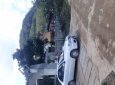 Bán gấp Daewoo Lanos SX năm 2001, màu trắng