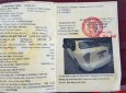 Bán xe Daewoo Lanos SX đời 2005, màu trắng, số sàn