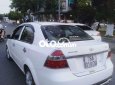 Màu trắng xe gia đình