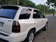 Một chủ từ đầu hàng hiếm