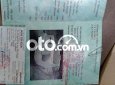 Xe màu trắng, xe nhập