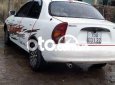 Xe màu trắng, xe nhập
