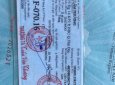 Xe màu trắng, xe nhập, 168 triệu