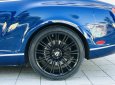 Speed Coupe model 2009