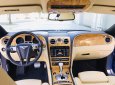 Speed Coupe model 2009