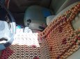 Xe không lỗi, không tacxi, hình thức đẹp