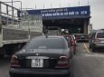 Xe màu đen, xe nhập