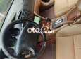 xe chất chắc chắn không lỗi