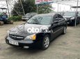 Bóng lừ và chất, Magnus bản 2.0 đời 2007