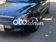 Xe Daewoo Magnus 2.5 Số tự động, Sản xuất 2004 cá