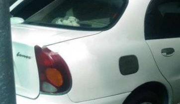 Bán Daewoo Lanos SX 2005, màu trắng, giá 148tr